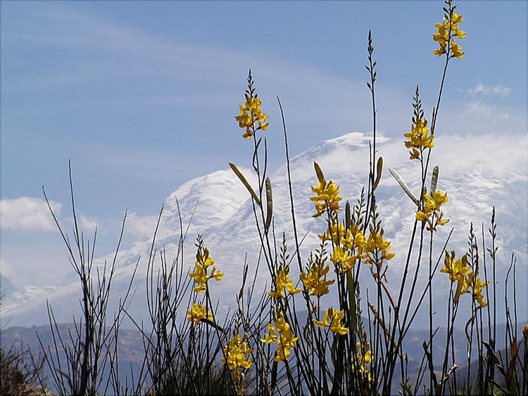 Foto de Cordillera blanca, Perú