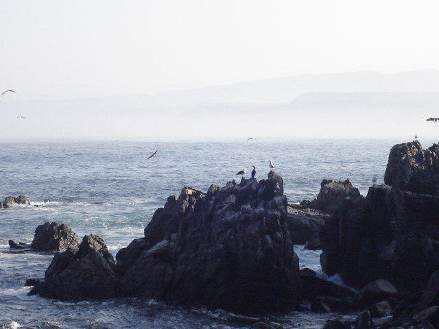 Foto de QUINTAY, Chile