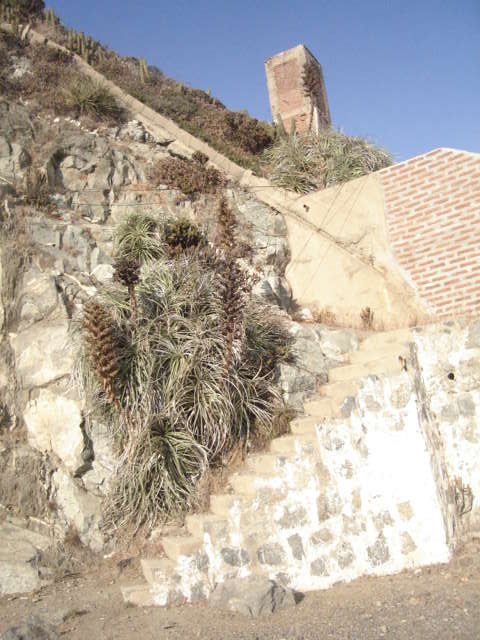 Foto de QUINTAY, Chile