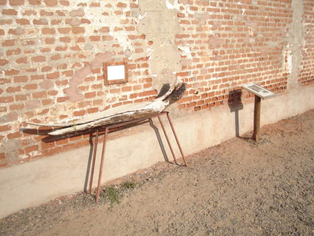 Foto de QUINTAY, Chile