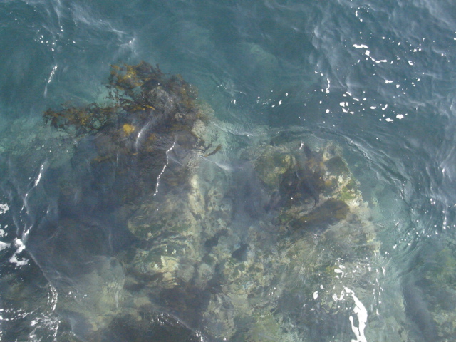 Foto de QUINTAY, Chile