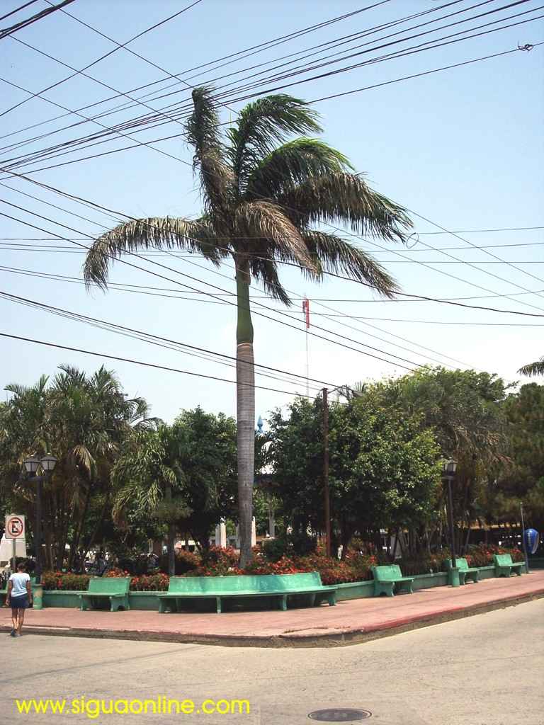 Foto de Tela, Atlántida, Honduras