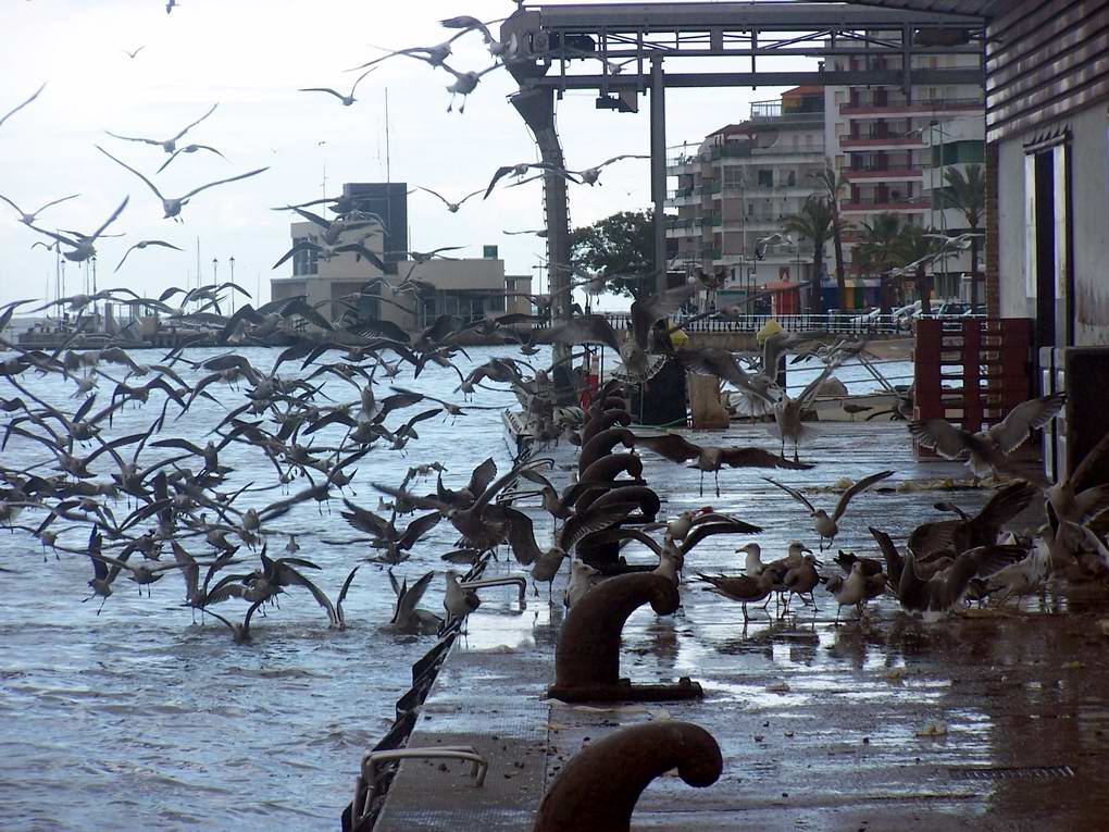 Foto de Punta Umbría (Huelva), España