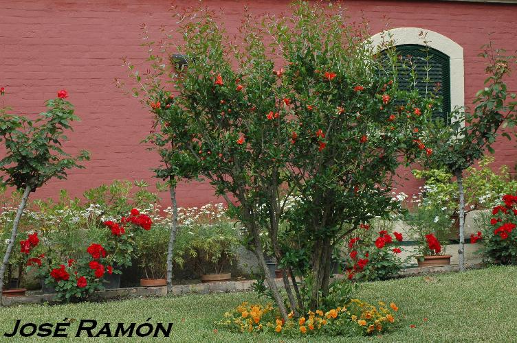 Foto de Jerez  de la Frontera (Cádiz), España