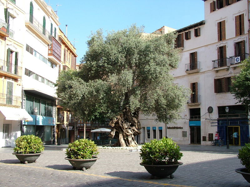 Foto de Palma de Mallorca (Illes Balears), España