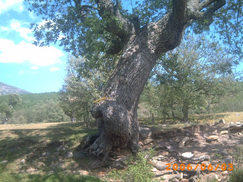 Foto de La Cueva de Agreda (Soria), España