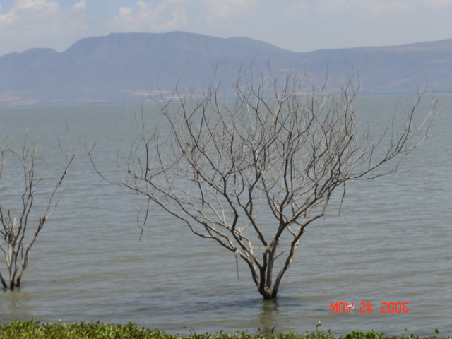 Foto de Piedra Barrenada, México