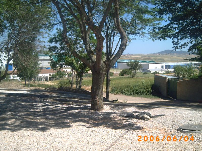 Foto de Ólvega (Soria), España