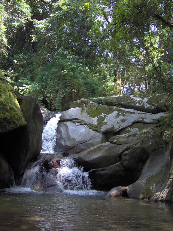 Foto de Minca-Santa Marta, Colombia