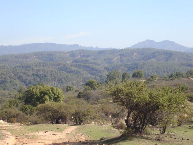 Foto de QUILPUE, Chile