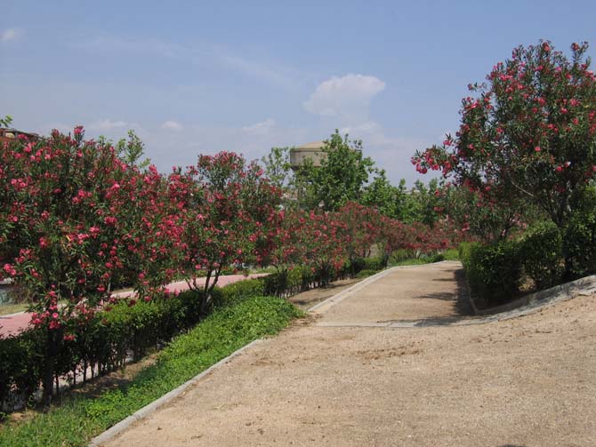 Foto de Madrid (Comunidad de Madrid), España