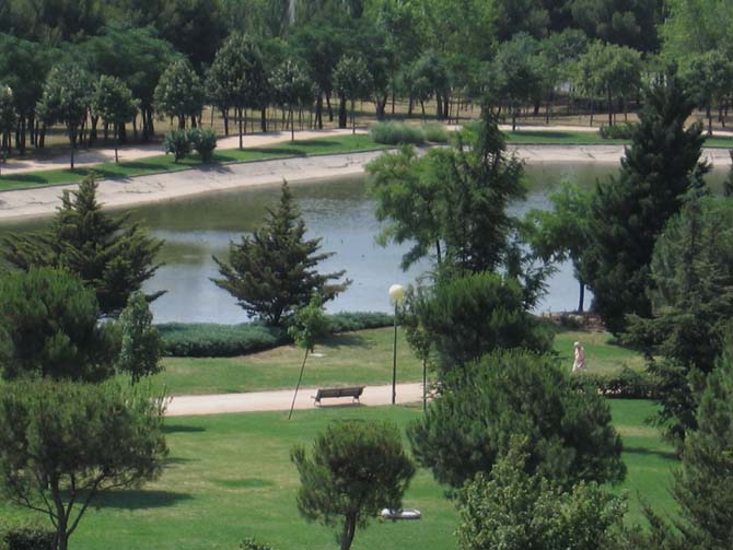 Foto de Madrid (Comunidad de Madrid), España