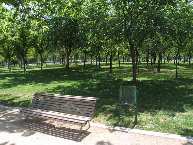 Foto de Madrid (Comunidad de Madrid), España