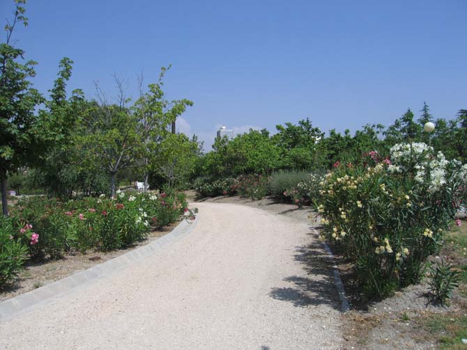 Foto de Madrid (Comunidad de Madrid), España