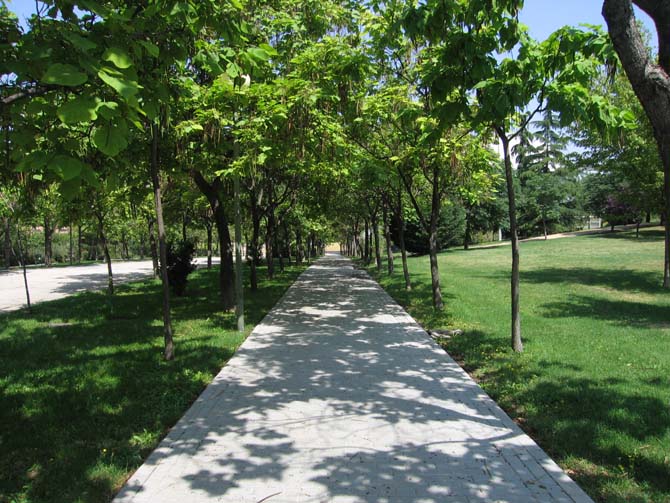 Foto de Madrid (Comunidad de Madrid), España