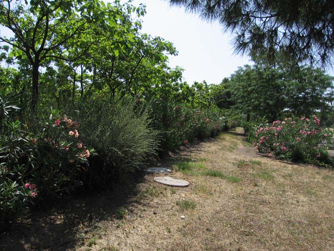 Foto de Madrid (Comunidad de Madrid), España