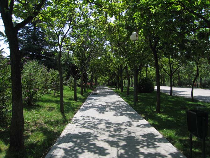 Foto de Madrid (Comunidad de Madrid), España