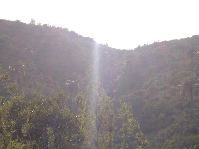 Foto de QUILPUE, Chile