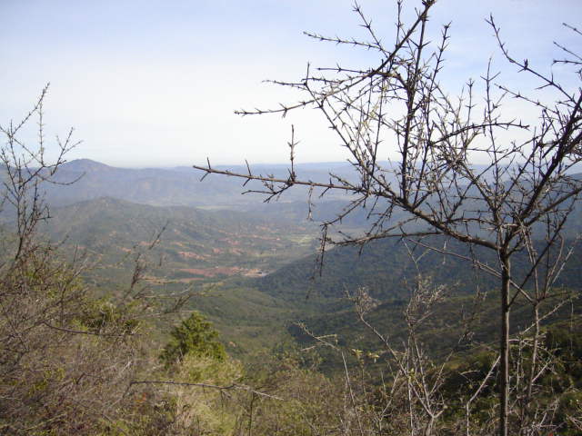 Foto de QUILPUE, Chile