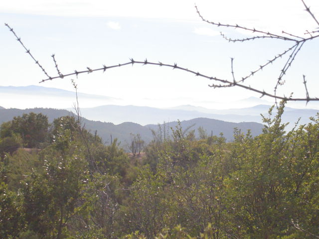 Foto de QUILPUE, Chile
