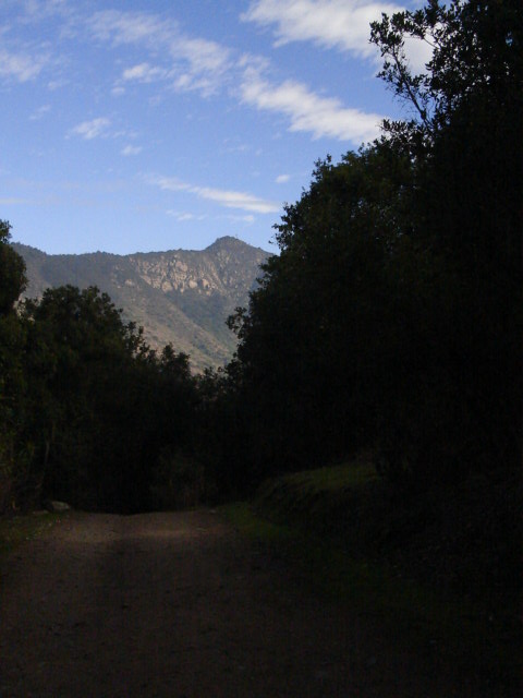 Foto de OLMUE, Chile