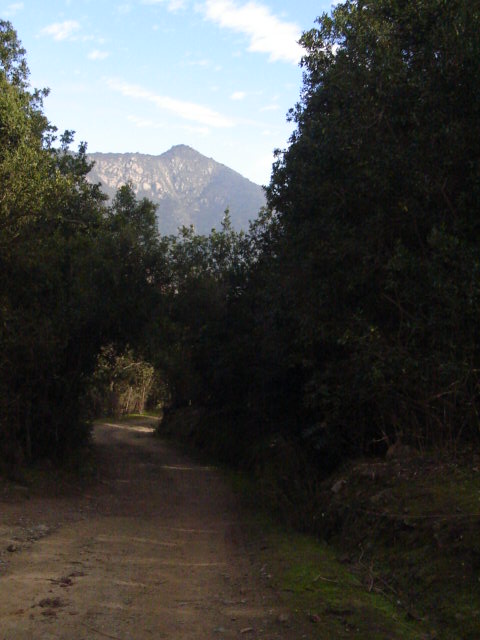Foto de OLMUE, Chile