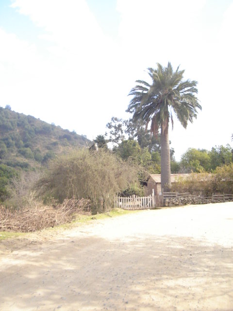 Foto de OLMUE, Chile