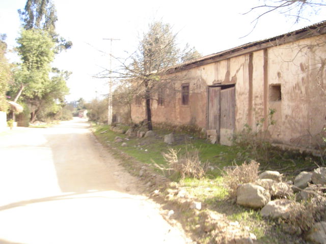 Foto de OLMUE, Chile