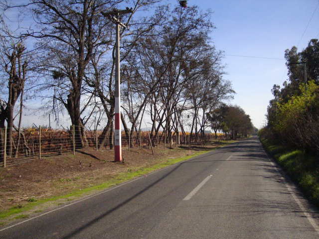 Foto de OLMUE, Chile