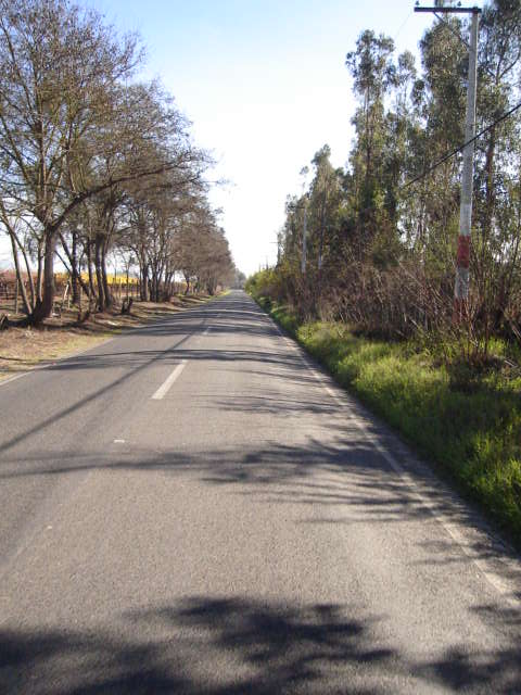 Foto de OLMUE, Chile