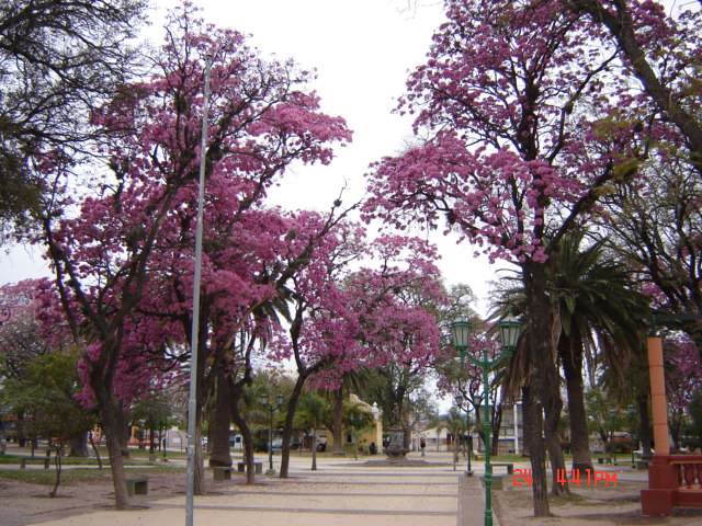 Foto de Catamarca, Argentina