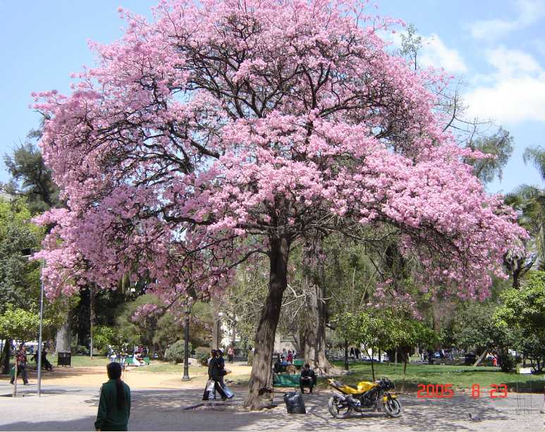 Foto de Salta, Argentina