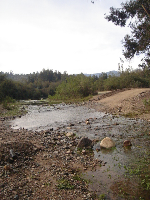 Foto de QUILPUE, Chile