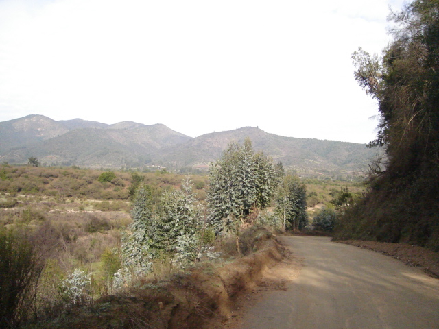 Foto de QUILPUE, Chile