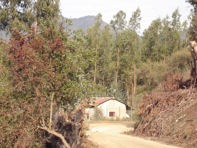 Foto de QUILPUE, Chile
