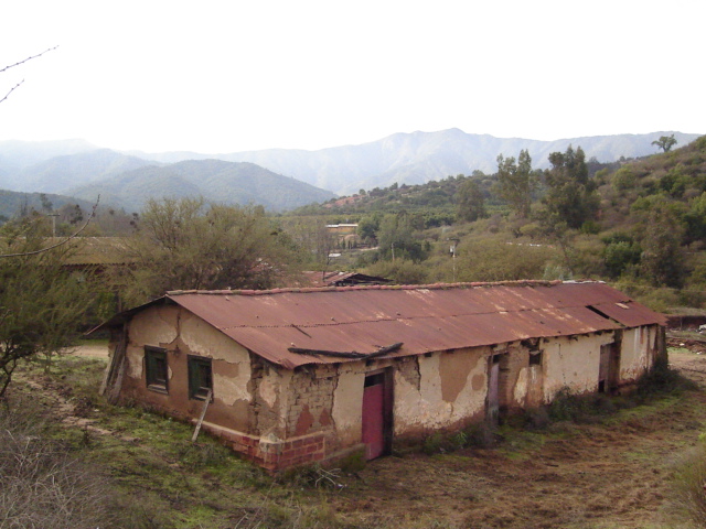 Foto de QUILPUE, Chile