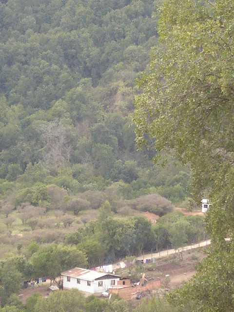 Foto de QUILPUE, Chile