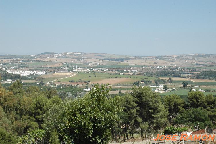 Foto de Serranía de Cádiz (Cádiz), España