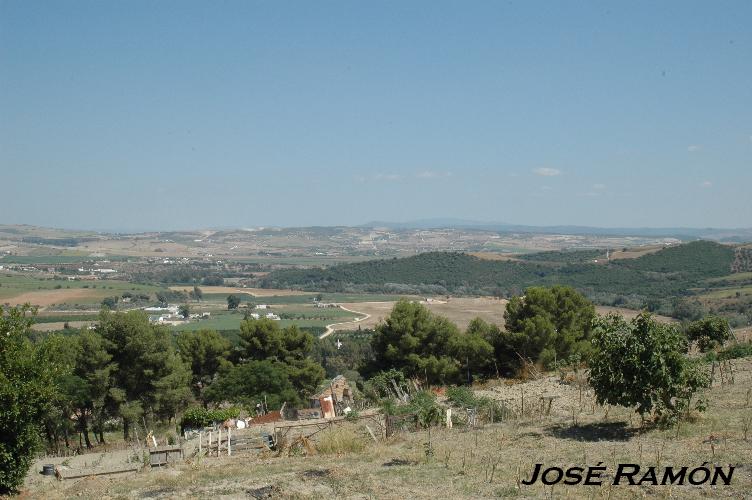 Foto de Serranía de Cádiz (Cádiz), España