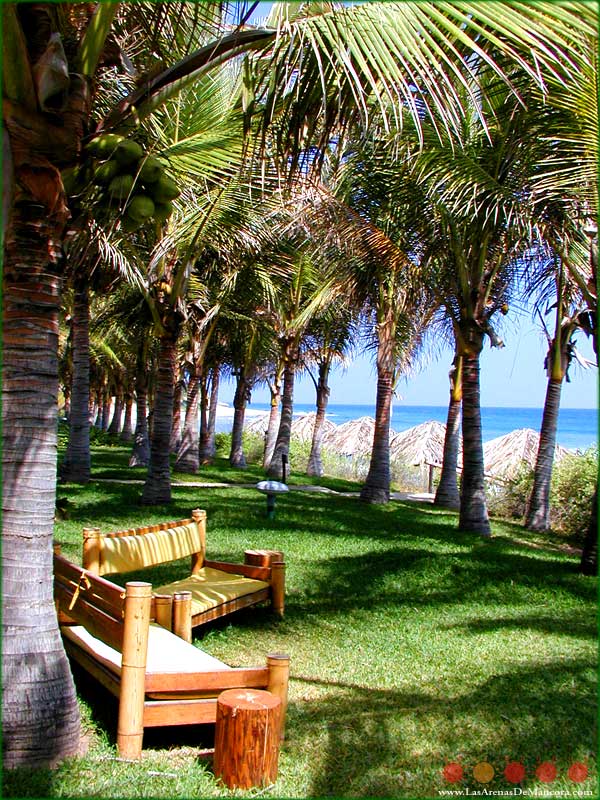 Foto de Mancora, Perú