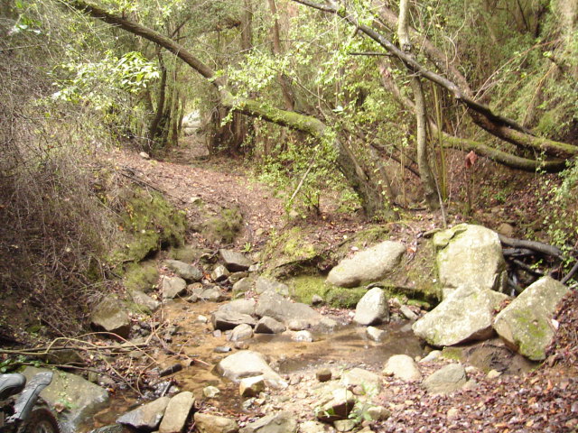 Foto de QUILPUE, Chile