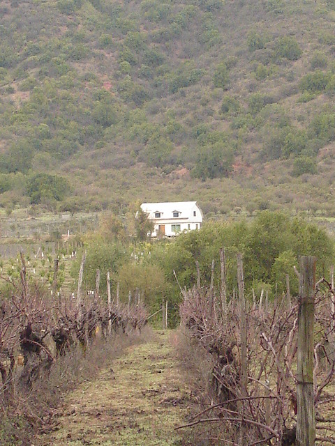Foto de QUILPUE, Chile