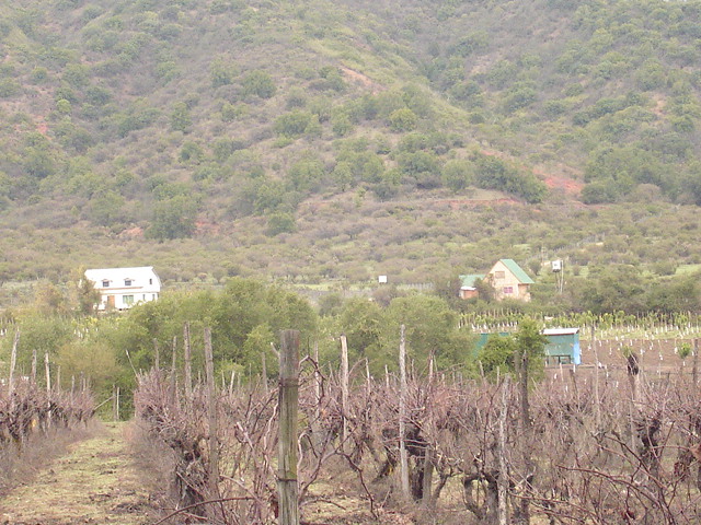 Foto de QUILPUE, Chile