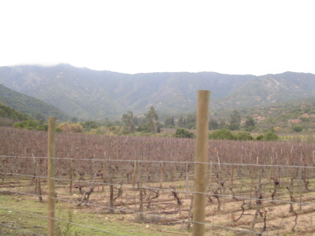 Foto de QUILPUE, Chile