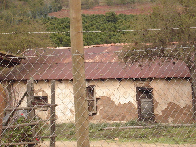 Foto de QUILPUE, Chile