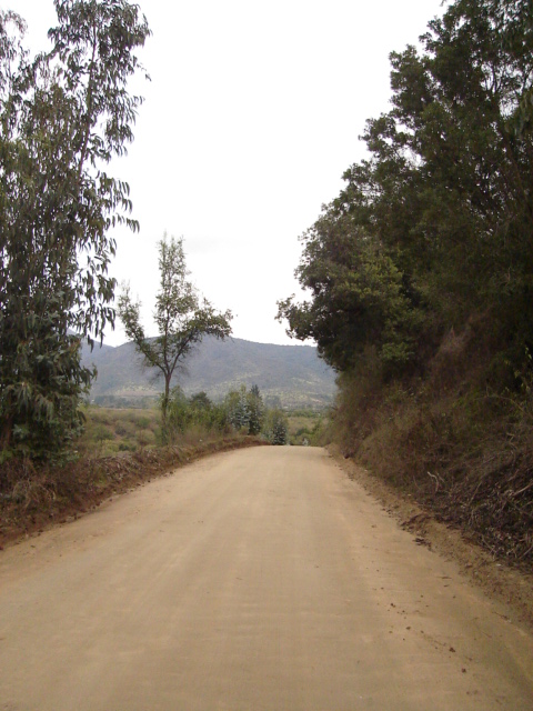 Foto de QUILPUE, Chile