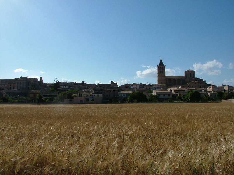 Foto de Mallorca (Illes Balears), España