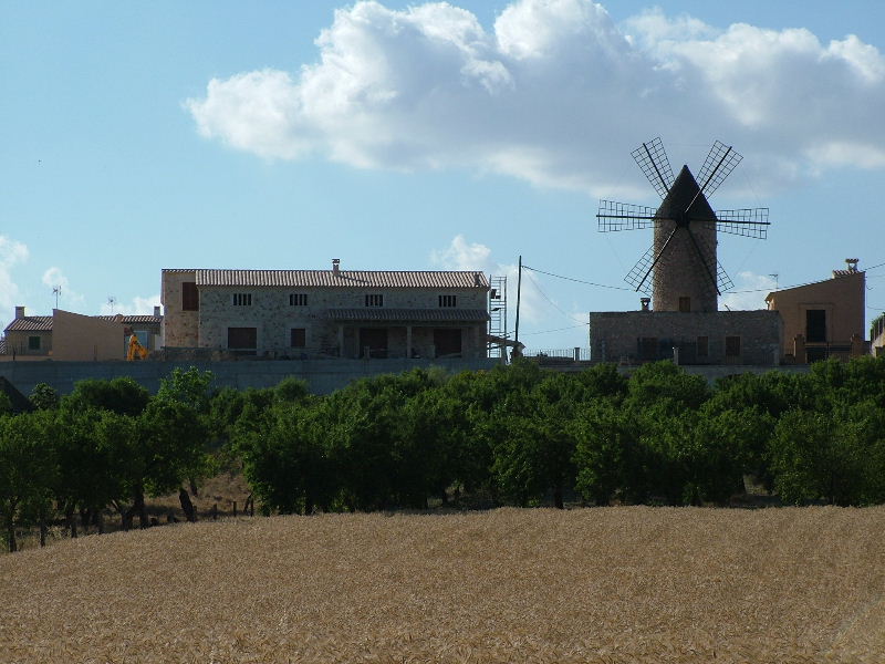 Foto de Mallorca (Illes Balears), España