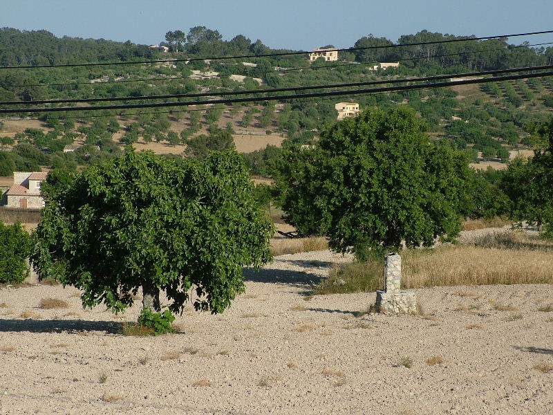 Foto de Mallorca (Illes Balears), España