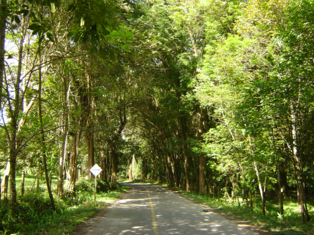 Foto de Buga- Valle del Cauca, Colombia